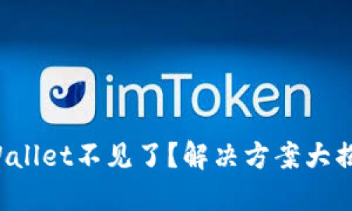 TPWallet不见了？解决方案大揭秘！