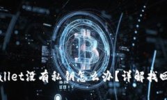 TPWallet没有私钥怎么办？详
