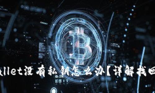 TPWallet没有私钥怎么办？详解找回方法