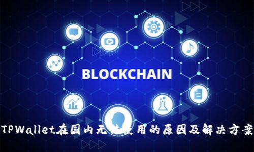 TPWallet在国内无法使用的原因及解决方案