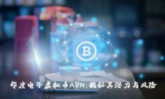 印度电子虚拟币AVN：揭秘