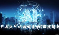 TPWallet资产丢失可以找回来吗？深度解析与应对策