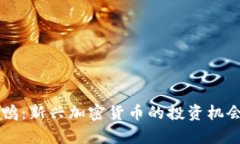 虚拟币小丑鸭：新兴加密货币的投资机会与风险