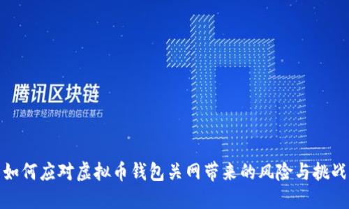 如何应对虚拟币钱包关网带来的风险与挑战