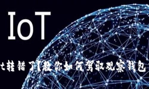 TPWallet转错了？教你如何驾驭观察钱包中的资产