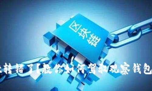 TPWallet转错了？教你如何驾驭观察钱包中的资产