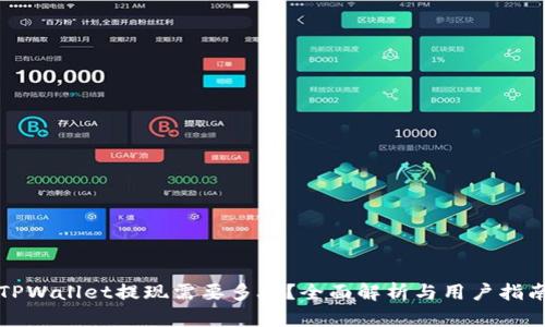 TPWallet提现需要多久？全面解析与用户指南
